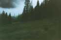 09_elkcountry06_125.jpg