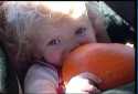 1011_bb_pumpkin_125.jpg