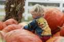 10_bb_pumkin2_125.jpg