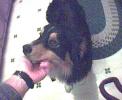 010119_Buddy01_125.jpg