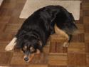 010211_buddy_125.jpg