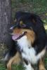010429_buddy01_125.jpg