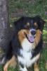 010429_buddy02_125.jpg