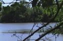 010523_oxley01c1_125.jpg