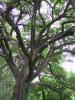 010523_oxley02_125.jpg