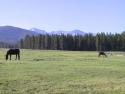 010622_tabernash_125.jpg