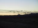 011227_bosque01_125.jpg