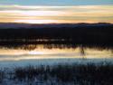 011227_bosque04_125.jpg
