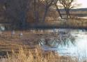011227_bosque05c_125.jpg