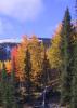 020928_co.aspen_125.jpg