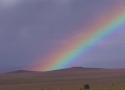 020929_co.rainbow_125.jpg