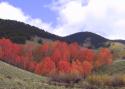 020929_co.redaspen2_125.jpg