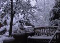 021204_snow.morning_125.jpg