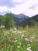 030802_crystal.flowers_125.jpg