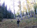 030925_aspenam_125.jpg