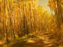 030926_gold.afternoon_125.jpg