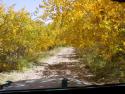 030926_gold.tunnel_125.jpg