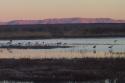 040101_bosque01_125.jpg