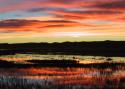 040101_bosque05_125.jpg