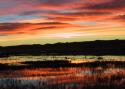 040101_bosque04_125.jpg