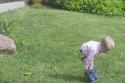 040411_dog.did_125.jpg