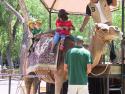 040718_kids.w.camel_125.jpg