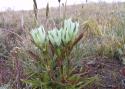 040828_creede10_125.jpg