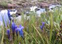 040828_creede12_125.jpg