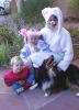 040911_petparade06_125.jpg