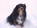 050315_buddy.snow_125.jpg