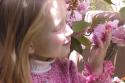 050501_b2c_125.jpg