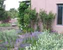050610_our.garden_125.jpg