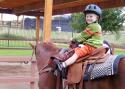 050612_horse.w.tj02_125.jpg