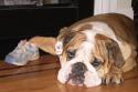 050827_tyson.shoe2_125.jpg