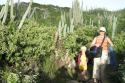 071228_hike_cactus_125.jpg