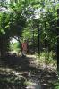 071230_13.beachwalk_125.jpg
