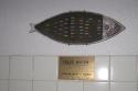 071231_04.shower_125.jpg
