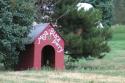 080726_doghouse_125.jpg