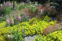 080726_flowers06_125.jpg