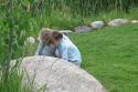 080726_girlsw.bugs2_125.jpg