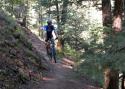 090827_dbike01_125.jpg