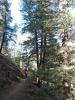 090827_dbike02_125.jpg